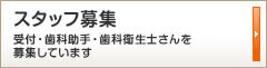 スタッフ募集