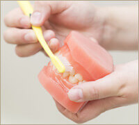 予防歯科の写真